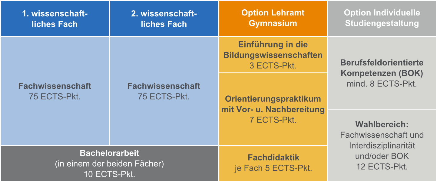 Aufbau polyvalenter Bachelor