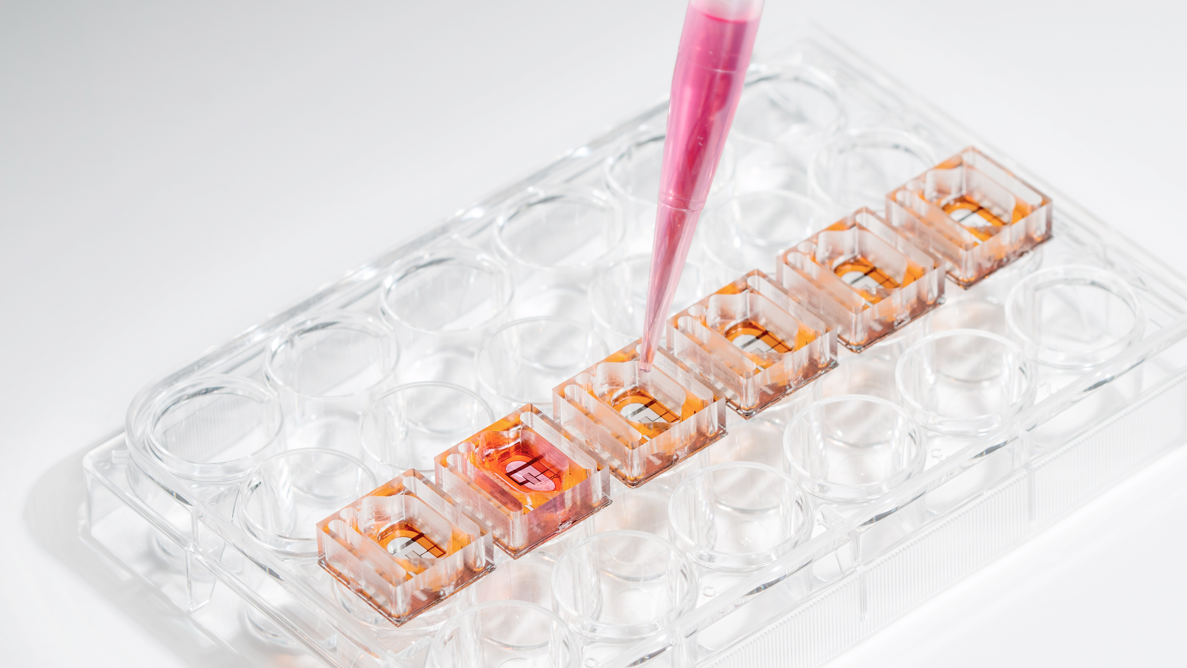 lab-on-chip-ms1-16-9--foto-andreas-weltin.jpg