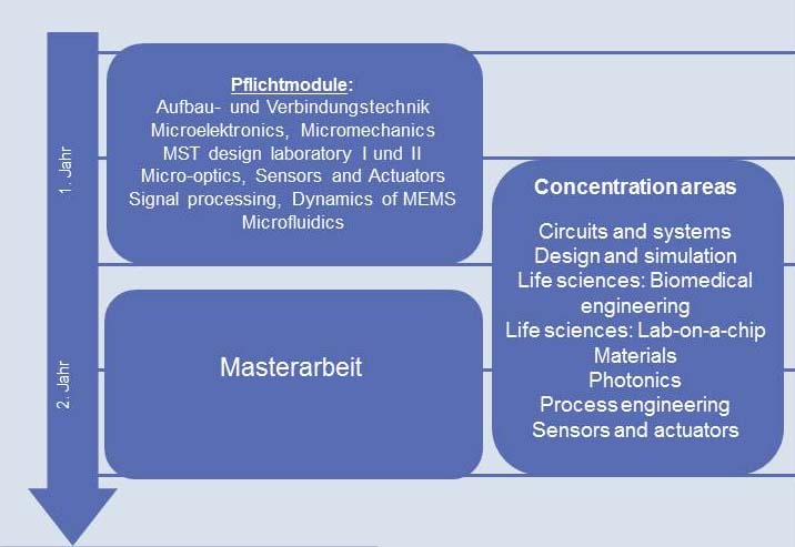 Curriculum MST