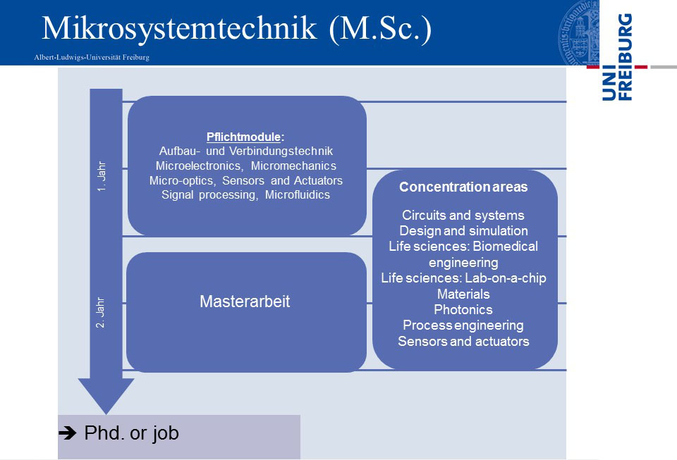 curriculum_MST