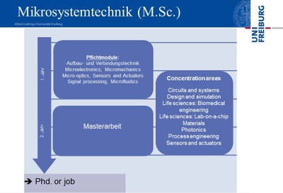 curriculum_MST